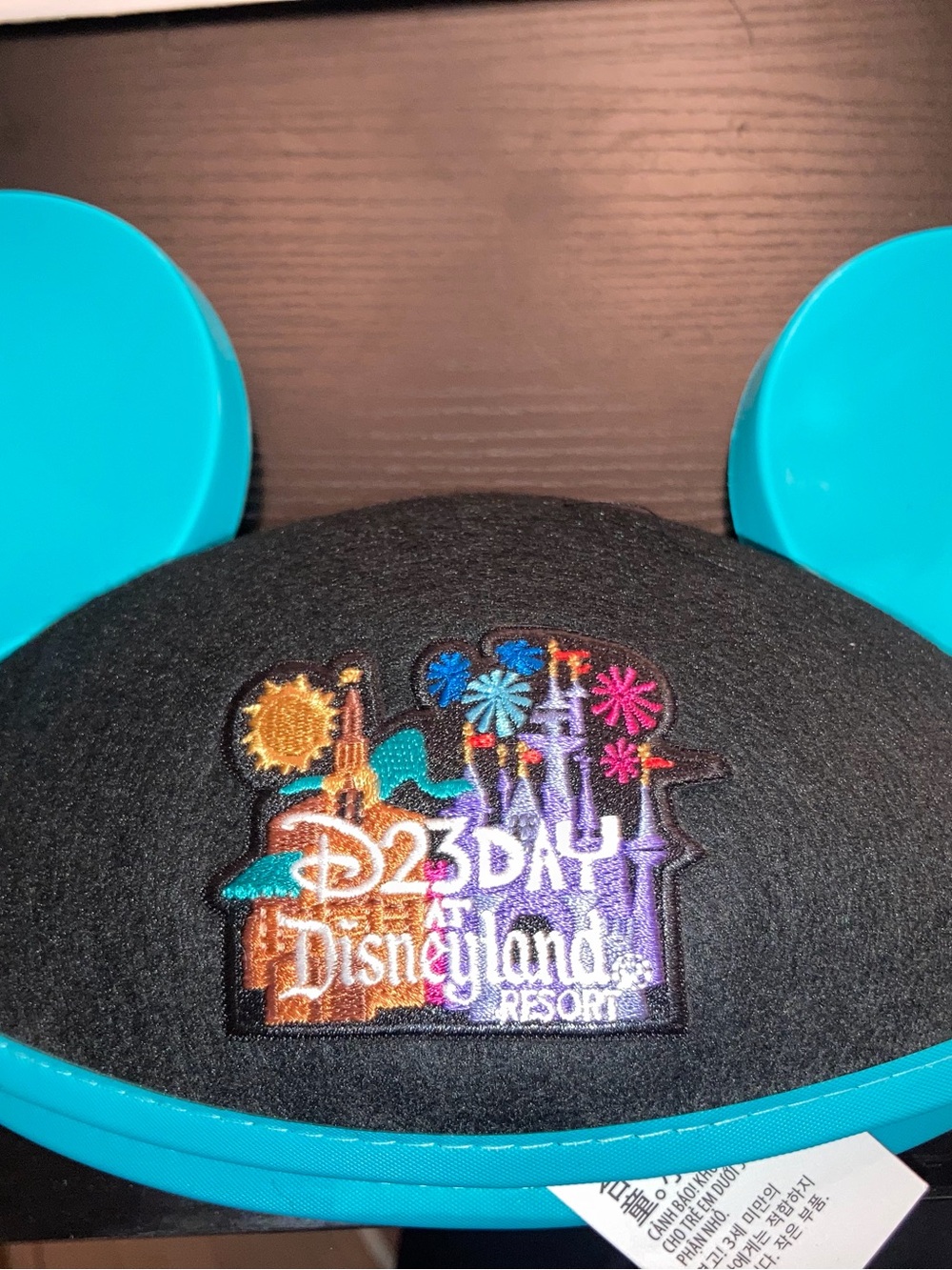 D23 Hat Disney